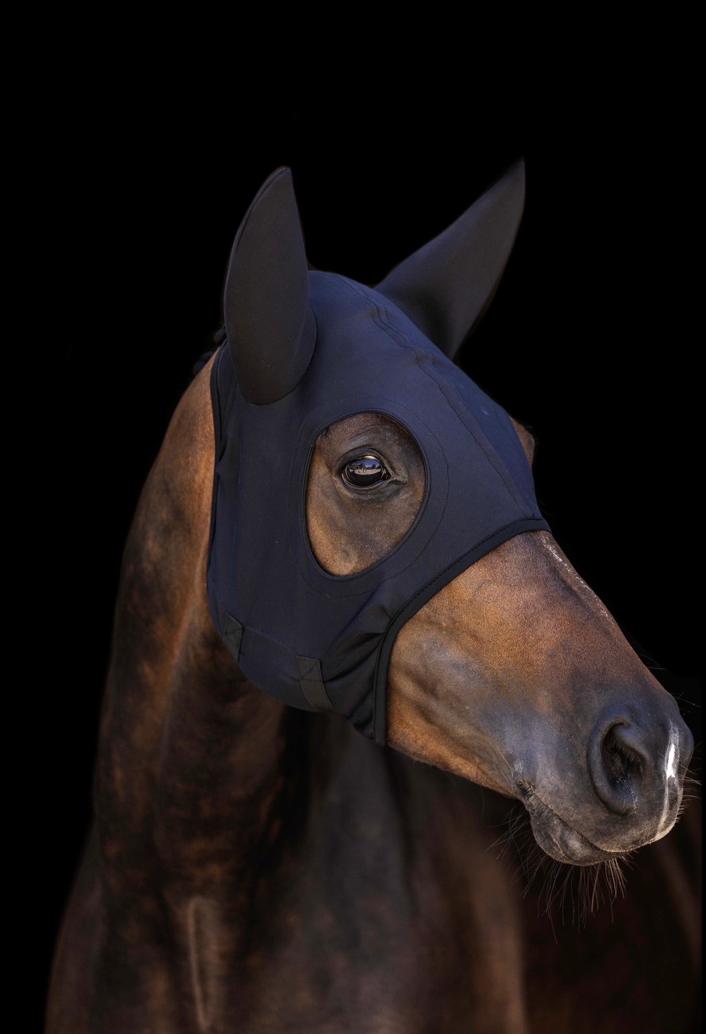 Lami-Cell Titanium Hood with Ears