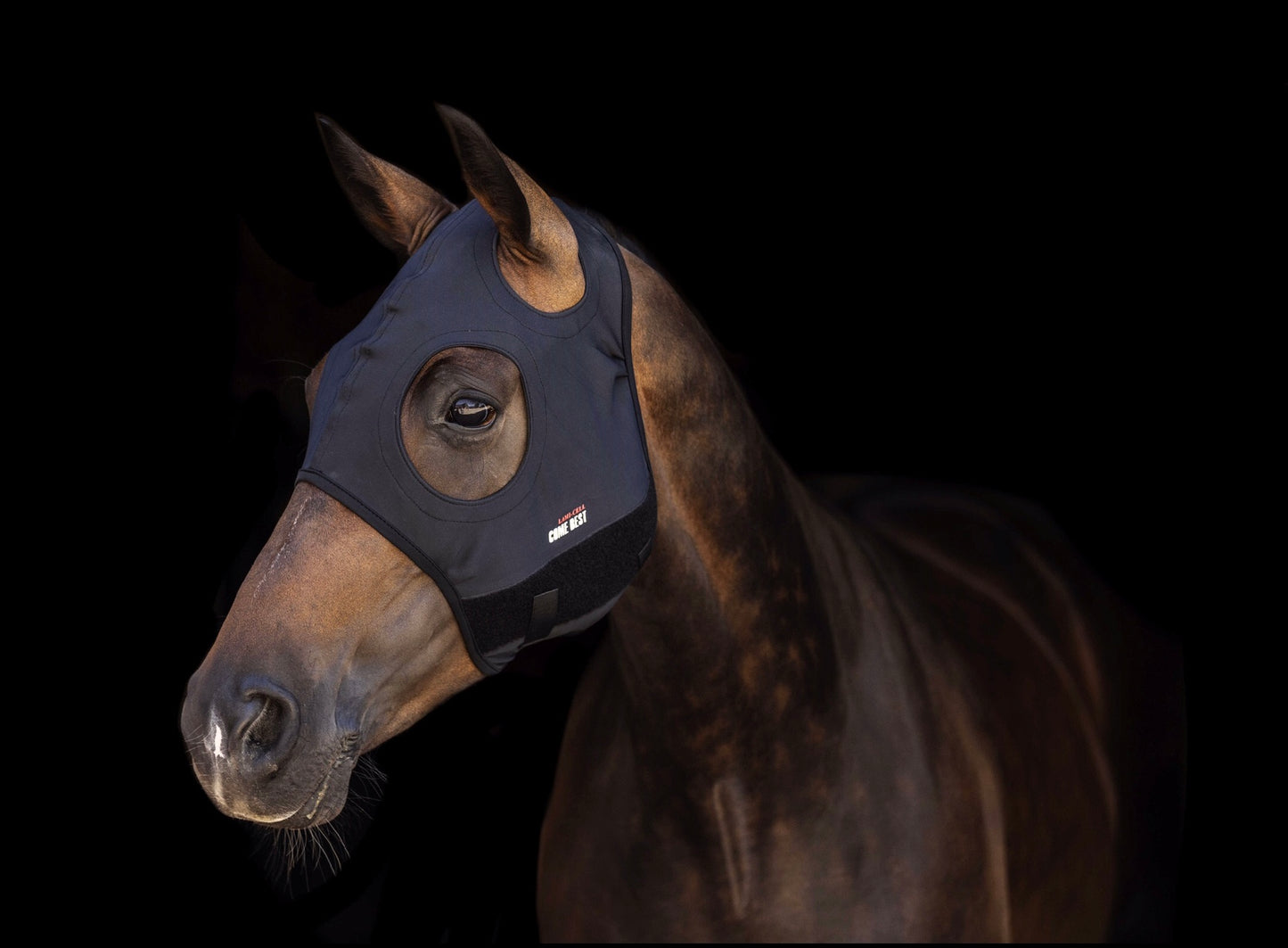 Lami-Cell Titanium Hood