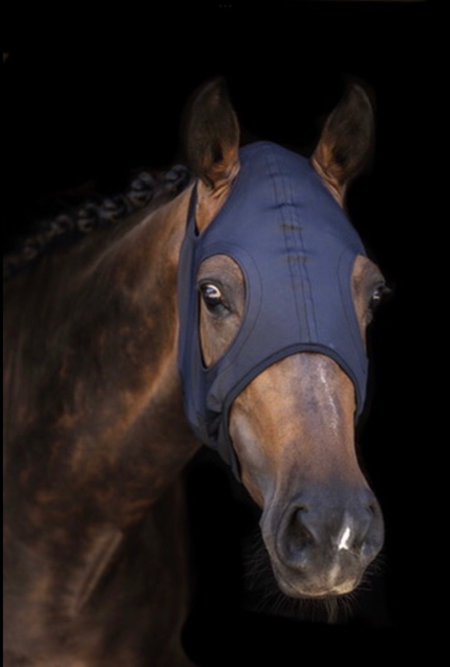 Lami-Cell Titanium Hood