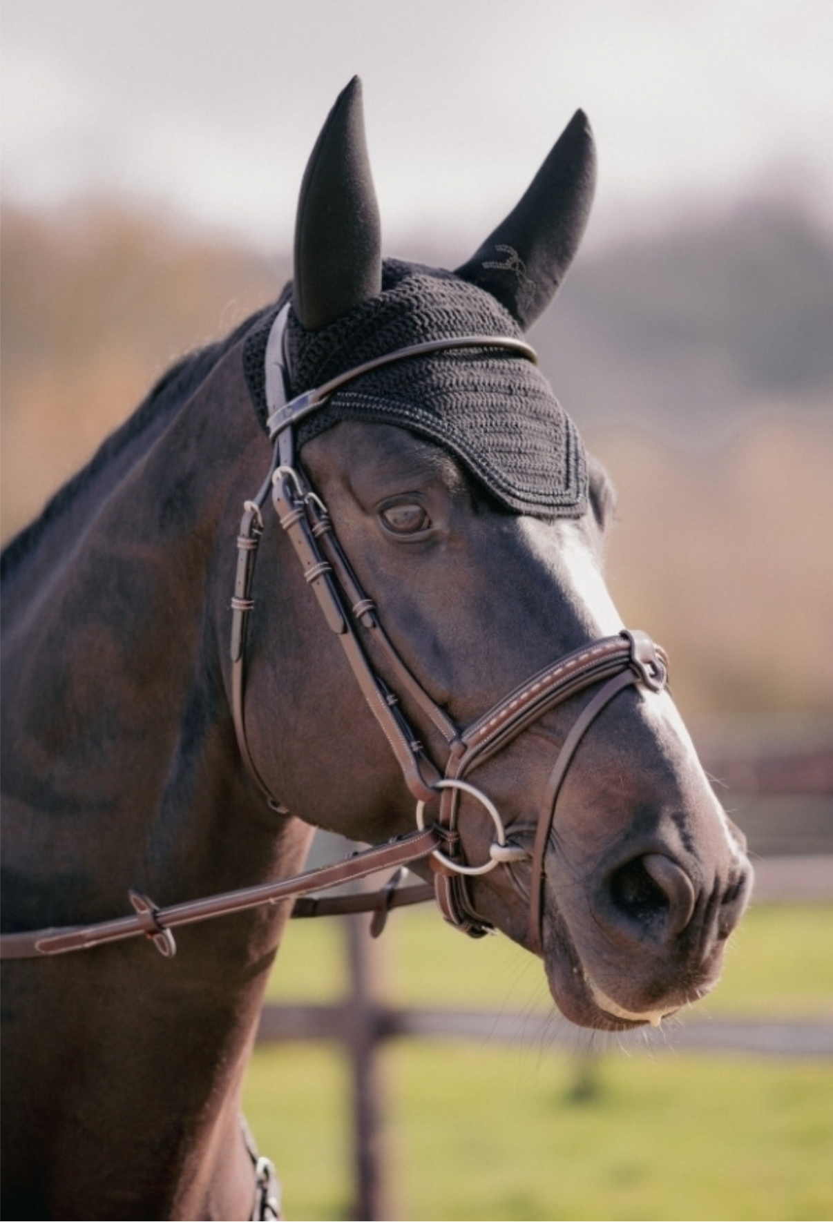Penelope Soundless Strass Ear Bonnet