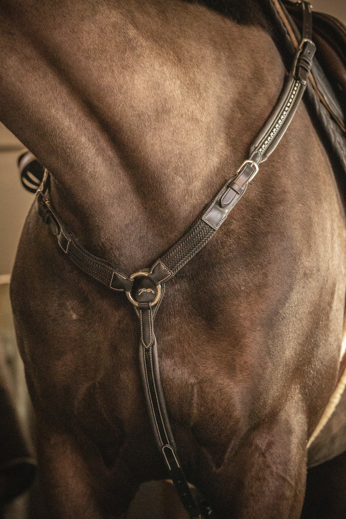 Penelope Martin Breastplate