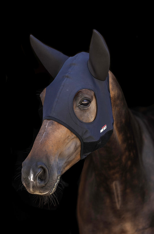 Lami-Cell Titanium Hood with Ears