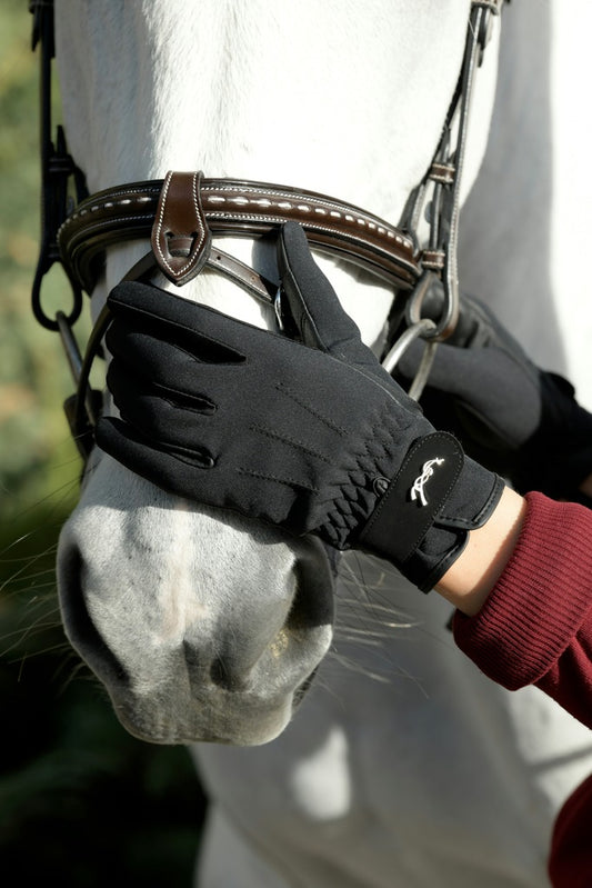 Penelope Hiver Gloves